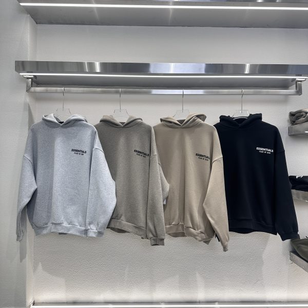 #3016 Essentials hoodie