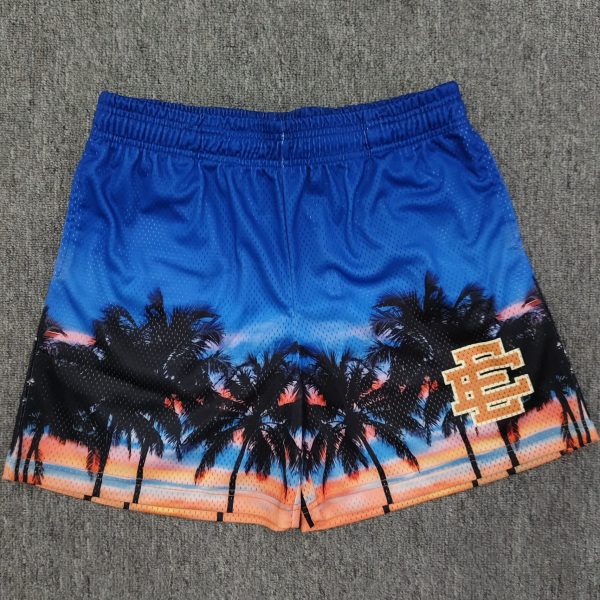 Eirc shorts-e253